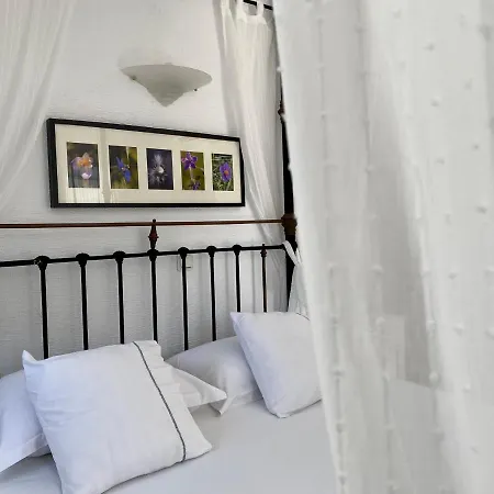 Lejlighedshotel Anthos Naousa