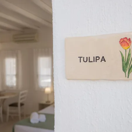 Anthos Lejlighedshotel 4*