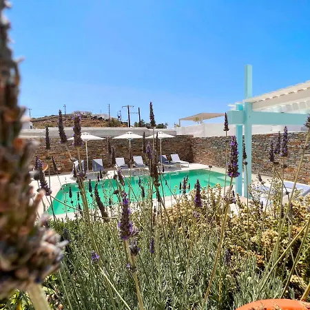 Anthos 4*